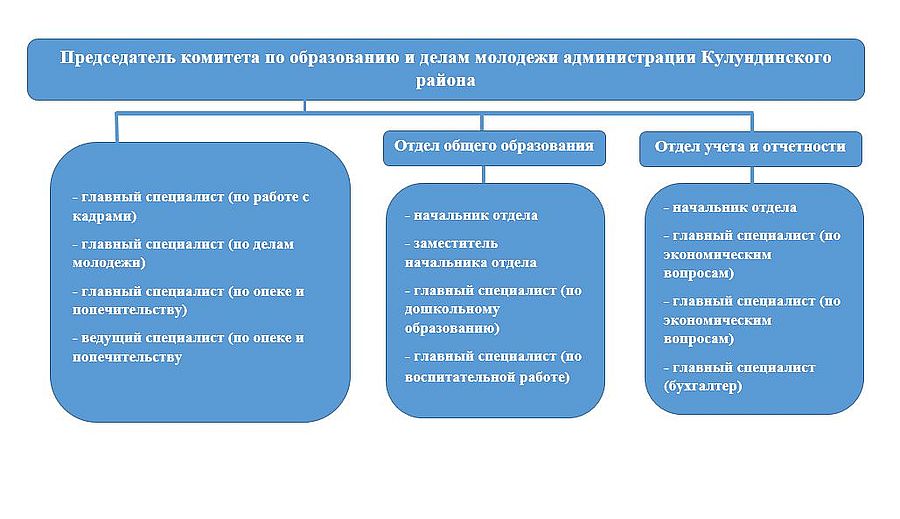 Struktura komiteta